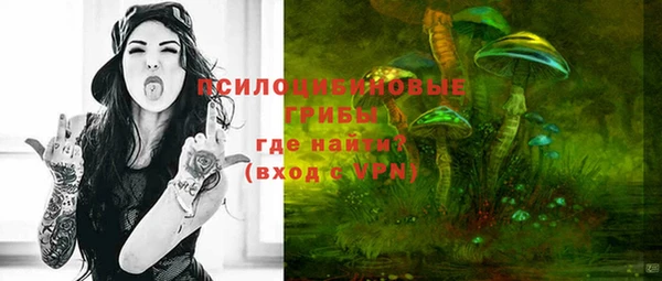 твердый Магас