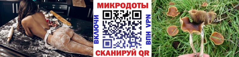 Псилоцибиновые грибы Cubensis  Бахчисарай 